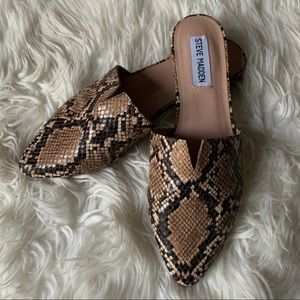 Steve Madden Ally Snake Mule | 6.5